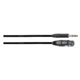 ProCo Balanced AQ TRS-XLRF