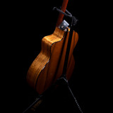 Genesis Series GS-200+