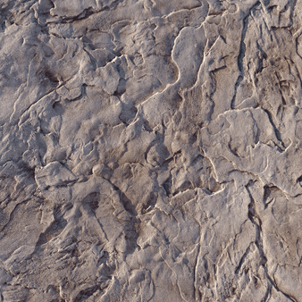 Proline 2RS Roman Slate Touch Up Skin