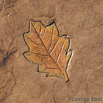 Proline SA2301 Oak Leaf Stamp