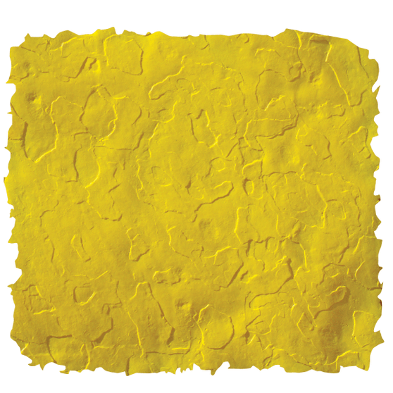 Proline 2SL Sandstone Light Touch Up Skin
