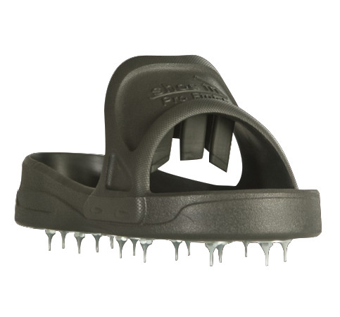 Shoe-In Spiked Pro Finish Shoes