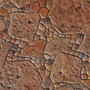 Proline RS145 Grand Garden Stone Stamp
