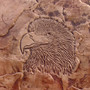 Proline SA1101 Eagle Head Stamp