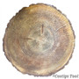Proline TM303 Live Edge Wood Table Mold 36"