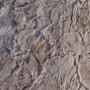 Proline SS4RS 45" x 45" Roman Slate Super Skin