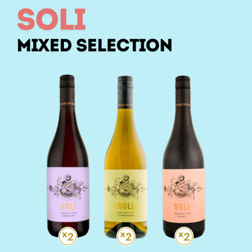 Soli Mixed 6 Case