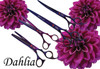 Dahlia Set Purple