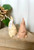 Gnome Scented Candle | Handcrafted Home Decor