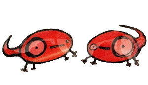 Small handmade salamander stud earrings featuring bright orange salamander characters with large expressive eyes and tiny feet on a clean background.