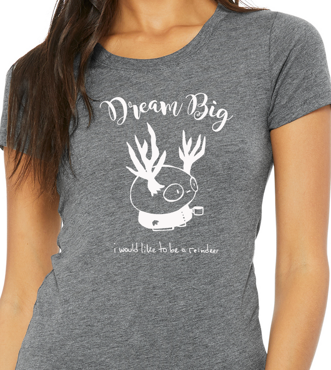 Dream Big - Womens Triblend Tee