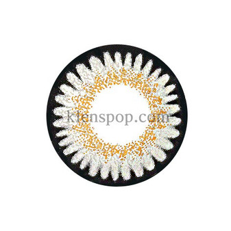 Vassen Bambi Gray Circle Lenses Main Image
