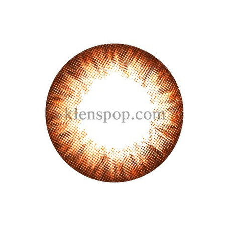 Silk Brown (2Pcs) 6 Months (Silicone Hydrogel) Silk Brown (2Pcs) 6 Months (Silicone Hydrogel)