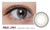 Close-up Image of an eye wearing Clalen Halo Gray (30pcs) (Toric Lens) Contact Lenses