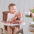 TUTTI BAMBINI NOVA HIGHCHAIR ACCESSORY PACK - CAMEO