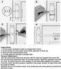 Hpd hpd Self closing door mechanism