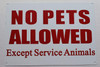 No Pets Allowed Except Service Animals