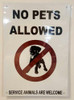 SIGNS NO PETS ALLOWED SERVICE ANIMALS SPECIFICALLY