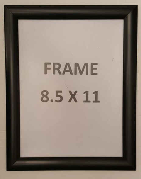 Black Snap Poster Frame/Picture Frame/Notice Frame