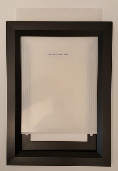 INSPECTION NOTICE FRAMES