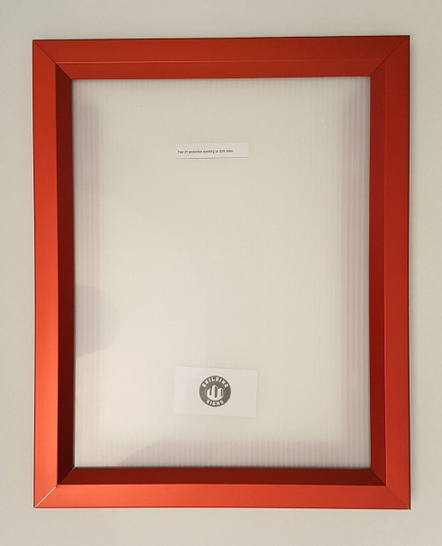 INSPECTION NOTICE FRAMES