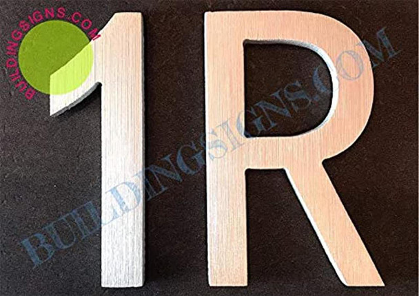 Apartment Number 1R Sign (Brush Silver,Double