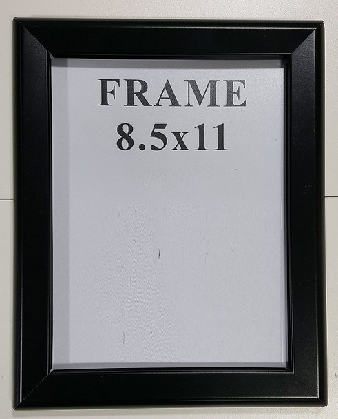 Black Snap Frame 8.5x11/Black Poster Frame