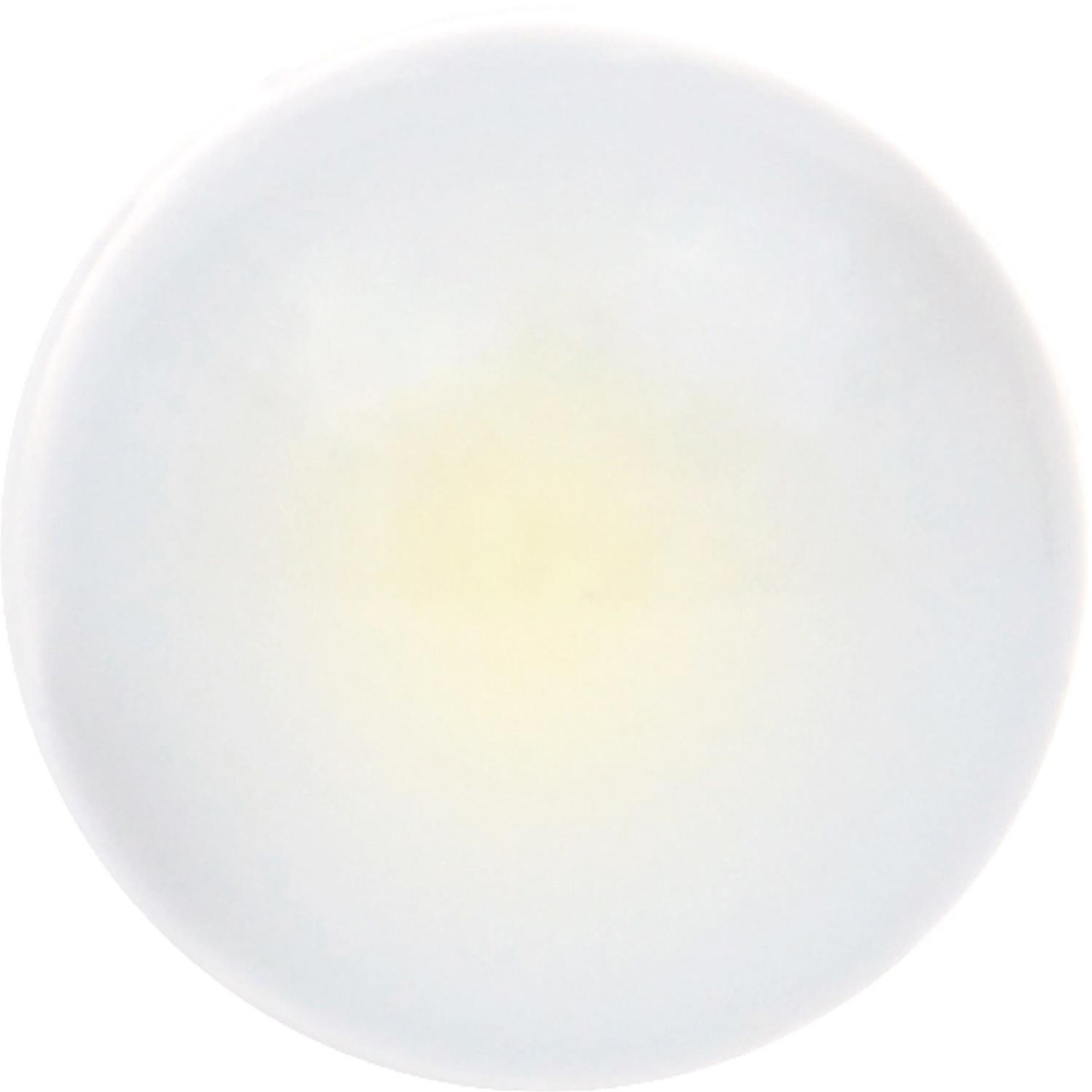 Clear 194 Led Bulbs Pair