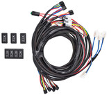 Black Illuminated 4-Door