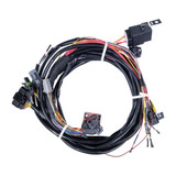 Edelbrock EZ-Street EFI System 30700