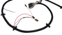 Headlight Harness 1979-1985