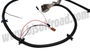 Headlight Harness 1979-1985