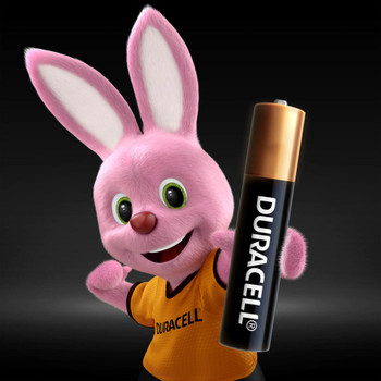 Duracell AAAA MX2500 LR61 Batteries | 2 Pack