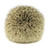 Silvertip Badger Hair Shaving Brush Knot (24mm x 68mm) Top View