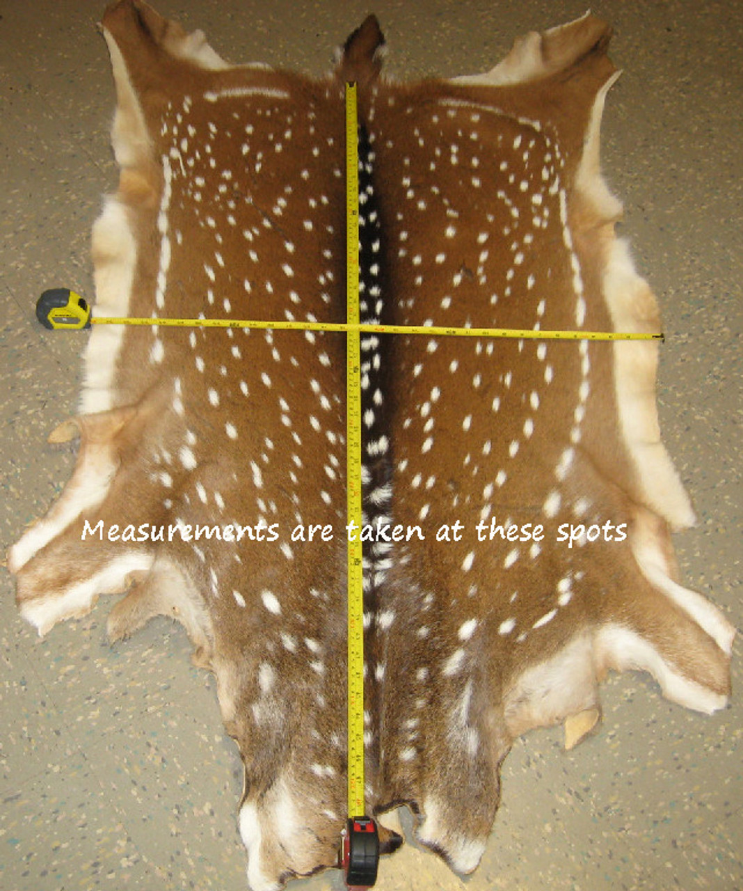 Axis Large Throw Grade Deer Hides