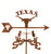 Texas Longhorns College Team Logo Weathervane