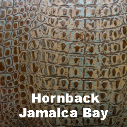 hornback-jamaica-bay.jpg