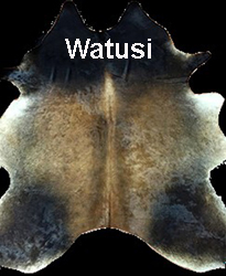 watusi-hair-on-hide-cowhide-option.jpg