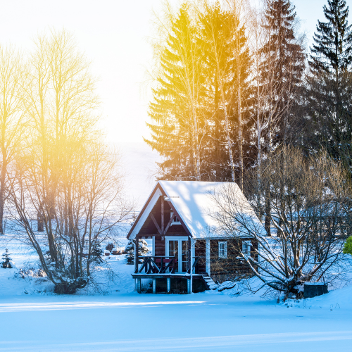 Holiday Meals Delivered