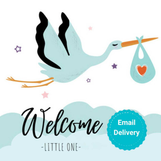 New Baby Meal Gift SendaMeal.com