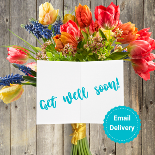 Get Well Meal Gift Get Well SendaMeal.com 79.99