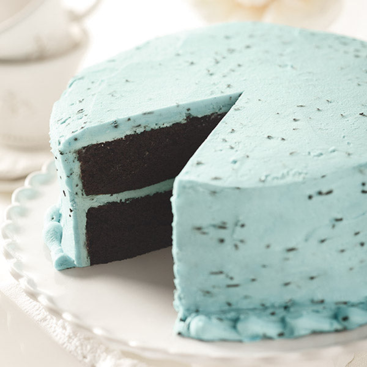 Robin's Egg Chocolate Cake