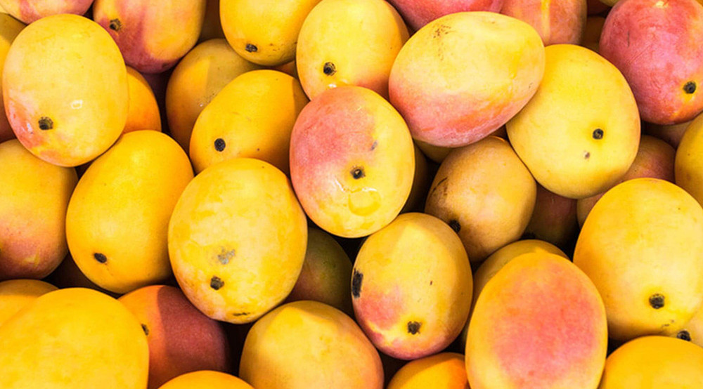 Quisque sit amet mi vel quam fringilla porttitor sed vitae ante