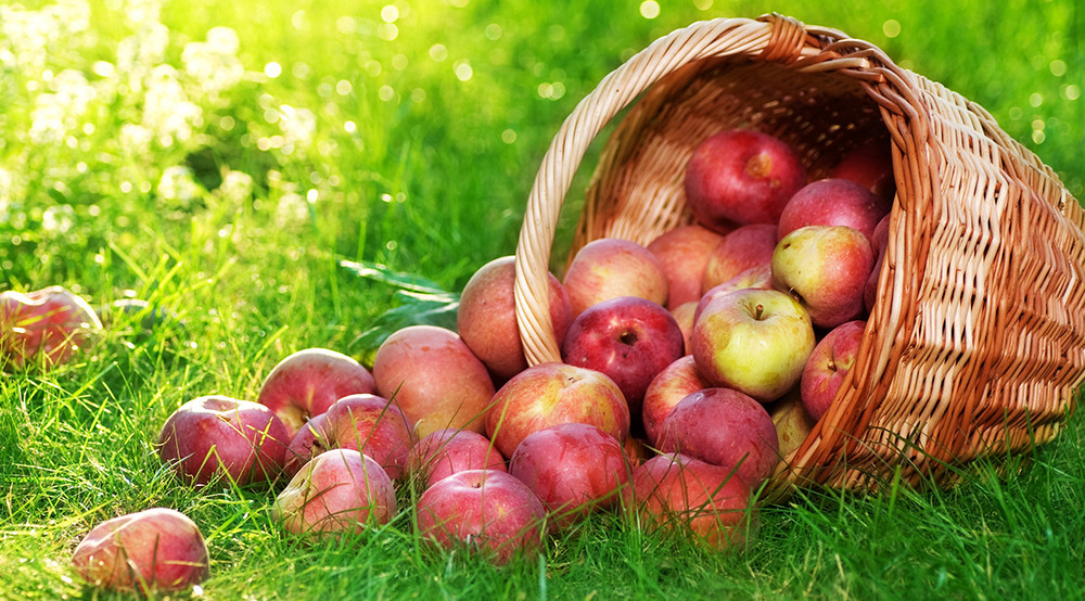 Nam aliquet urna ac nunc varius eleifend Aliquam erat volutpat