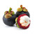 Orbit Terrarium - Large