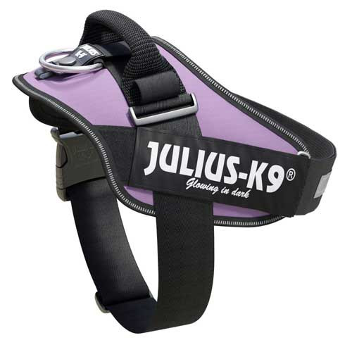 Julius-K9 IDC-Powerharness For Dogs Size: 1, Purple