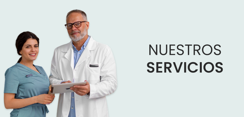 Consulta nuestro stock y precios