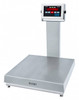 Doran 7000XL Stainless Steel Bench Scale with 20" column 