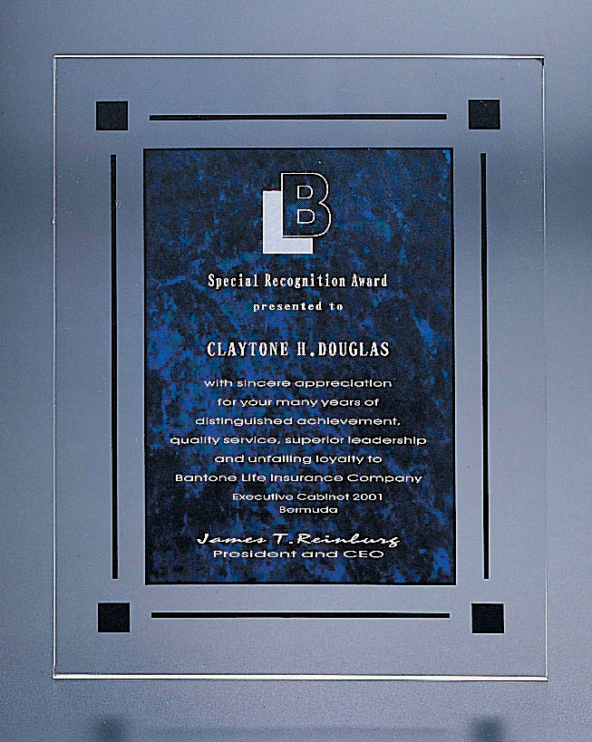 JADE MARBLEIZED 8X10 PLAQUE