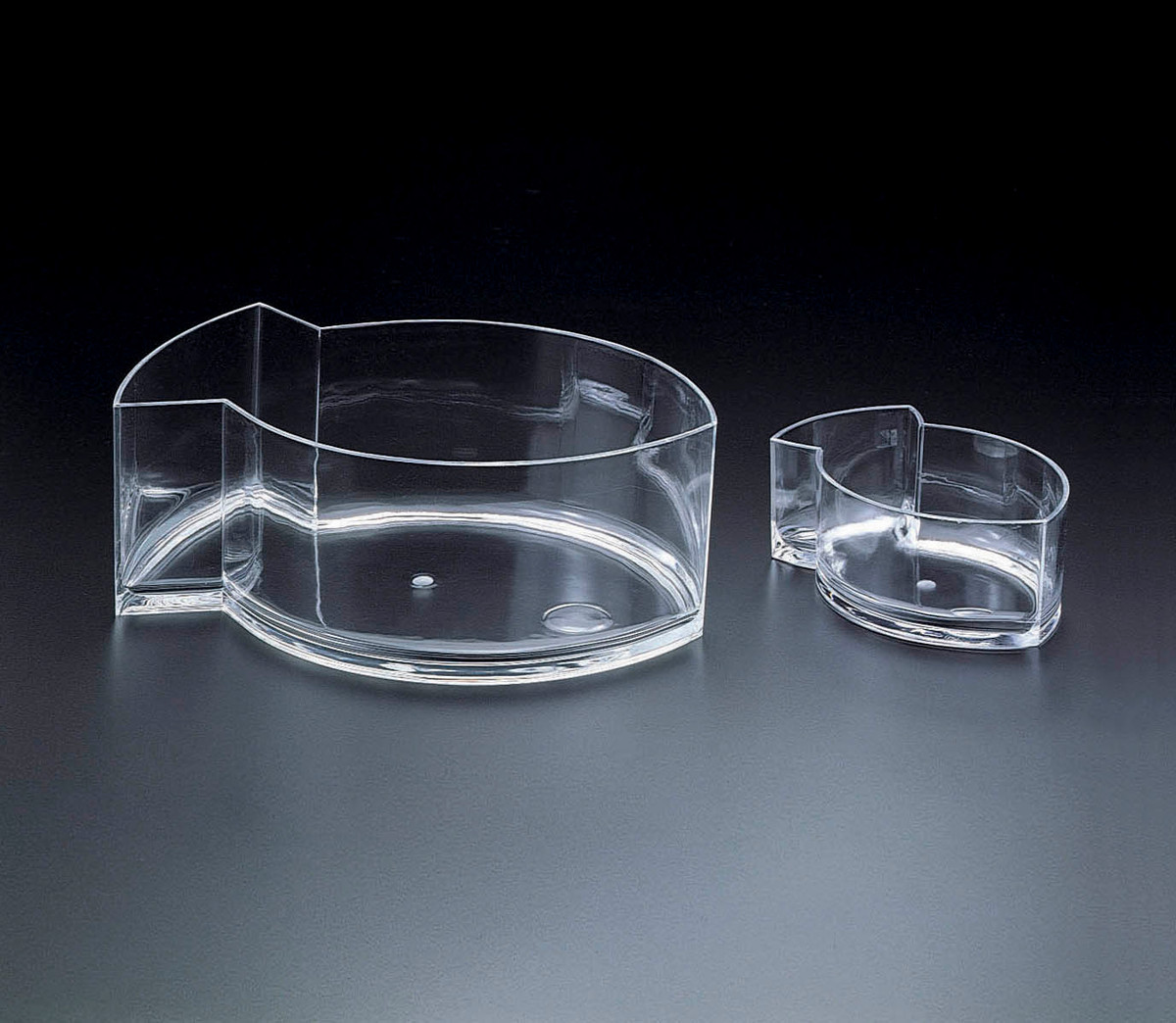  CHIP & DIP FISH BOWL-LARGE